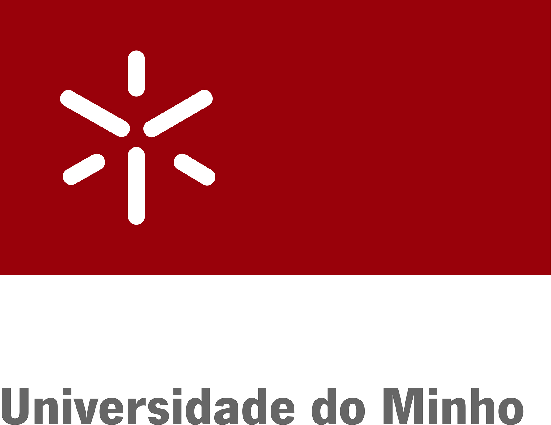 Universidade do Minho